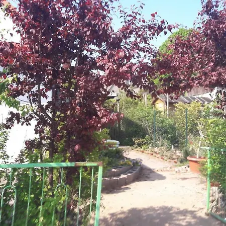 Zum Buddje Garz  Exterior photo