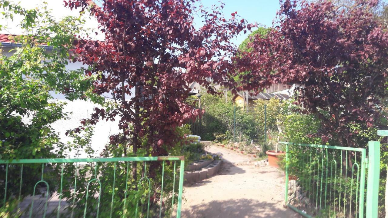Zum Buddje Garz (Rugen)